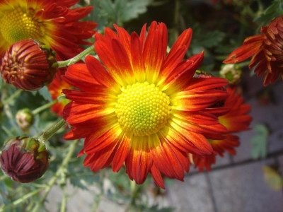 DSC07249.JPG