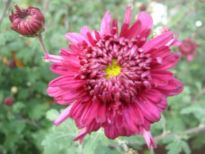 DSC07263.JPG