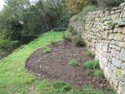 Mediterrane Pflanzung 20191104_06.JPG