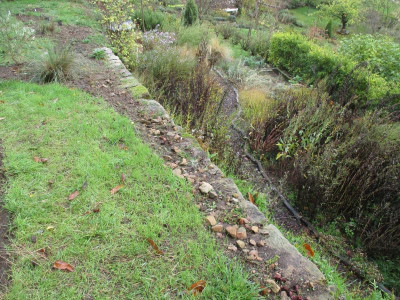 Mediterrane Pflanzung 20191104_09.JPG