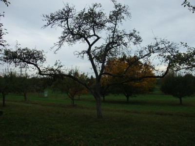 DSCF8067.JPG