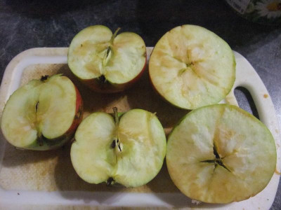 DSCF8088.JPG