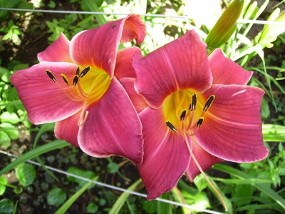 BILD0765.JPG