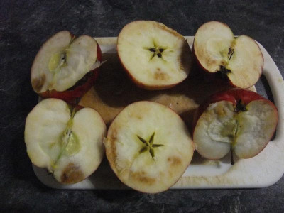 DSCF8086.JPG