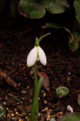 DSCF0470_4275.JPG