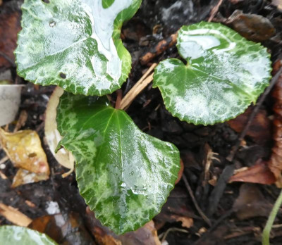 20191105_195747.jpg