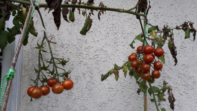 IMG-20191024-WA0005.jpeg