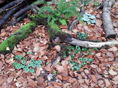 20191108_075737.jpg