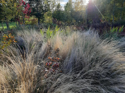 20191109_154649.jpg