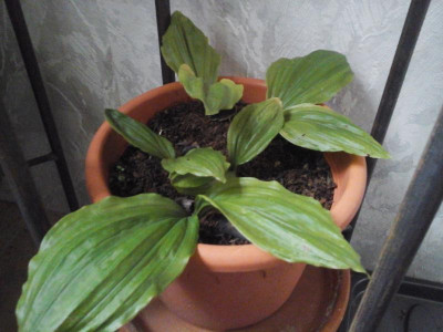 20191110_135200.jpg