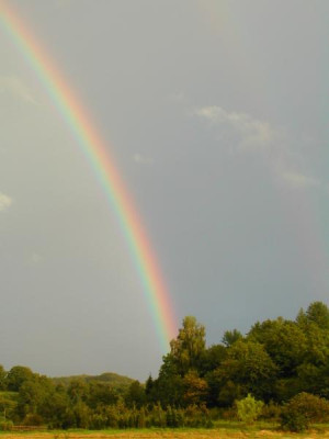 b_regenbogen.jpg