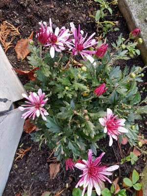 20191110_143910.jpg