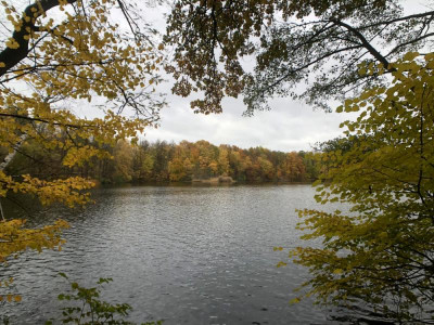 IMG-1733_DxO_1000px.jpg