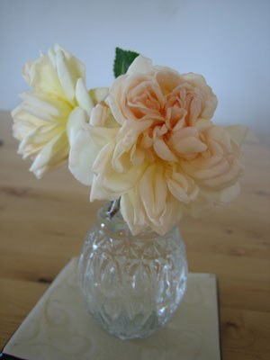 fernand_vase.jpg