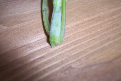 K640_100_3766.JPG