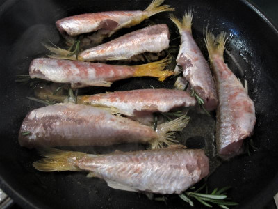 barben.img.JPG