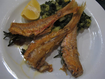 barben2.img.JPG