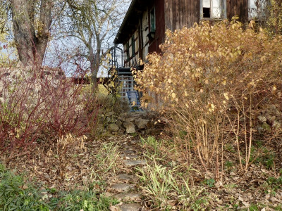 tg_191116_1.jpg