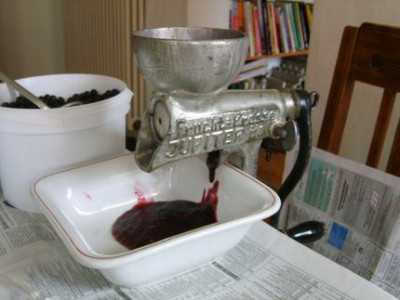 Beeren4.jpg