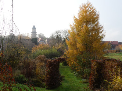 2019-11-16 Garteneinblick 17.jpg