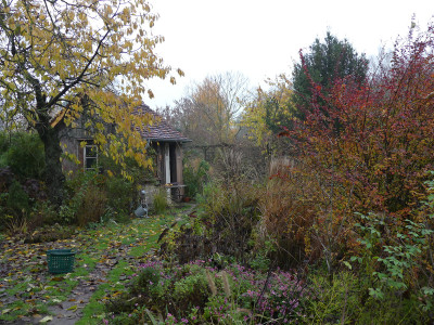 2019-11-17 Garteneinblick 1.jpg