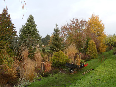 2019-11-16 Garteneinblick 11.jpg