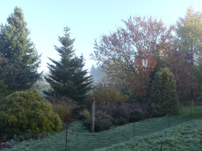 2019-11-10 Gartenimpressionen 9.jpg