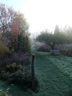 2019-11-10 Gartenimpressionen 10.jpg