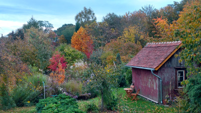 2019-10-18 Gartenimpressionen 1.jpg