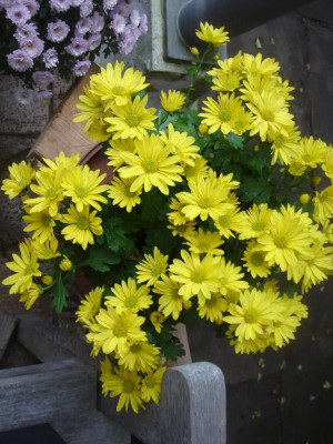 DSC07299.JPG