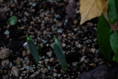 DSCF0557_4297.JPG
