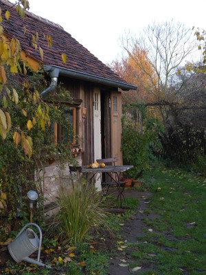 2019-11-16 Gartenimpressionen 4.jpg