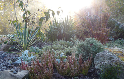 2019-11-10 Gartenimpressionen 12.jpg