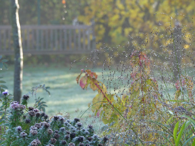 2019-11-10 Gartenimpressionen 14.jpg
