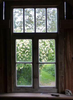 2019-06-08 Gartenimpressionen 2.jpg