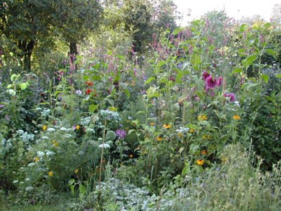 b_gartenansicht.jpg