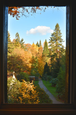 FensterblickNov.jpg