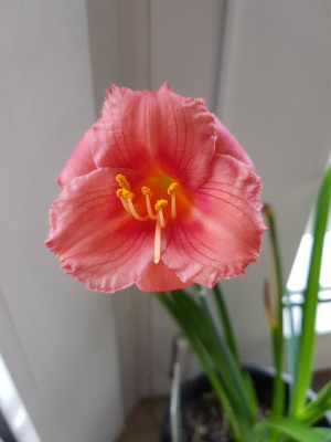 20191120_091539.jpg