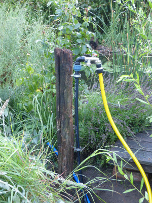 2019-07-31 Wasserleitung.jpg