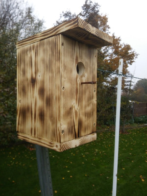 Nistkasten geflammt.jpg