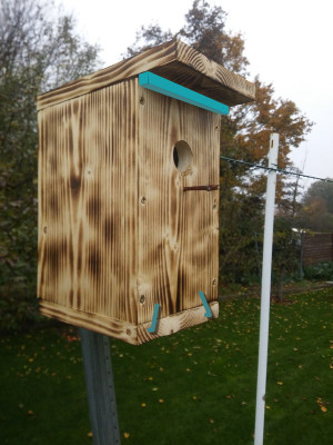 nistkasten+.jpg