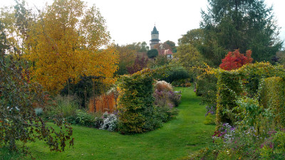 2019-10-13 Gartenimpressionen 1.jpg