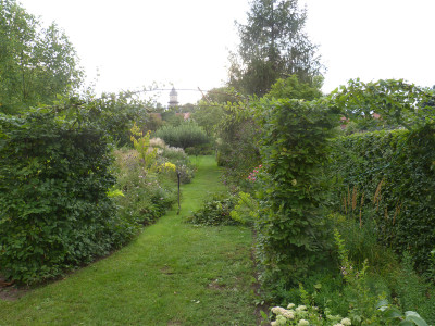 2019-09-01 Garteneinblick Heckenbogen 1.jpg