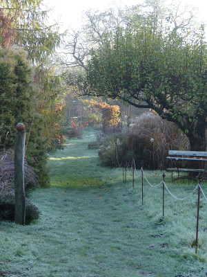 2019-11-10 Garteneinblick 6.jpg