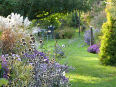 2019-10-05 Gartenimpressionen 11.jpg