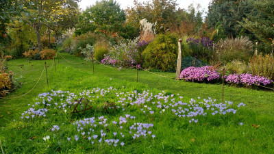 2019-10-13 Gartenimpressionen 3.jpg