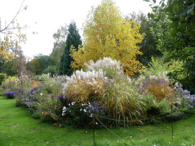 2019-10-12 Gartenimpressionen 6.jpg