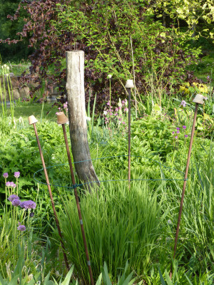 2019-05-13 Garteneinblick 2.jpg