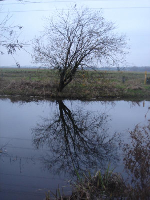 DSC07341.JPG