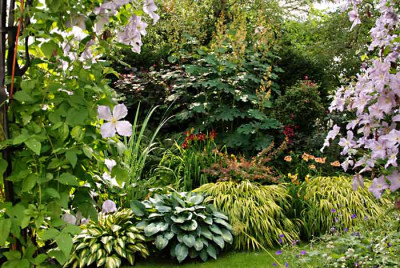Taglilien-im-Garten.jpg